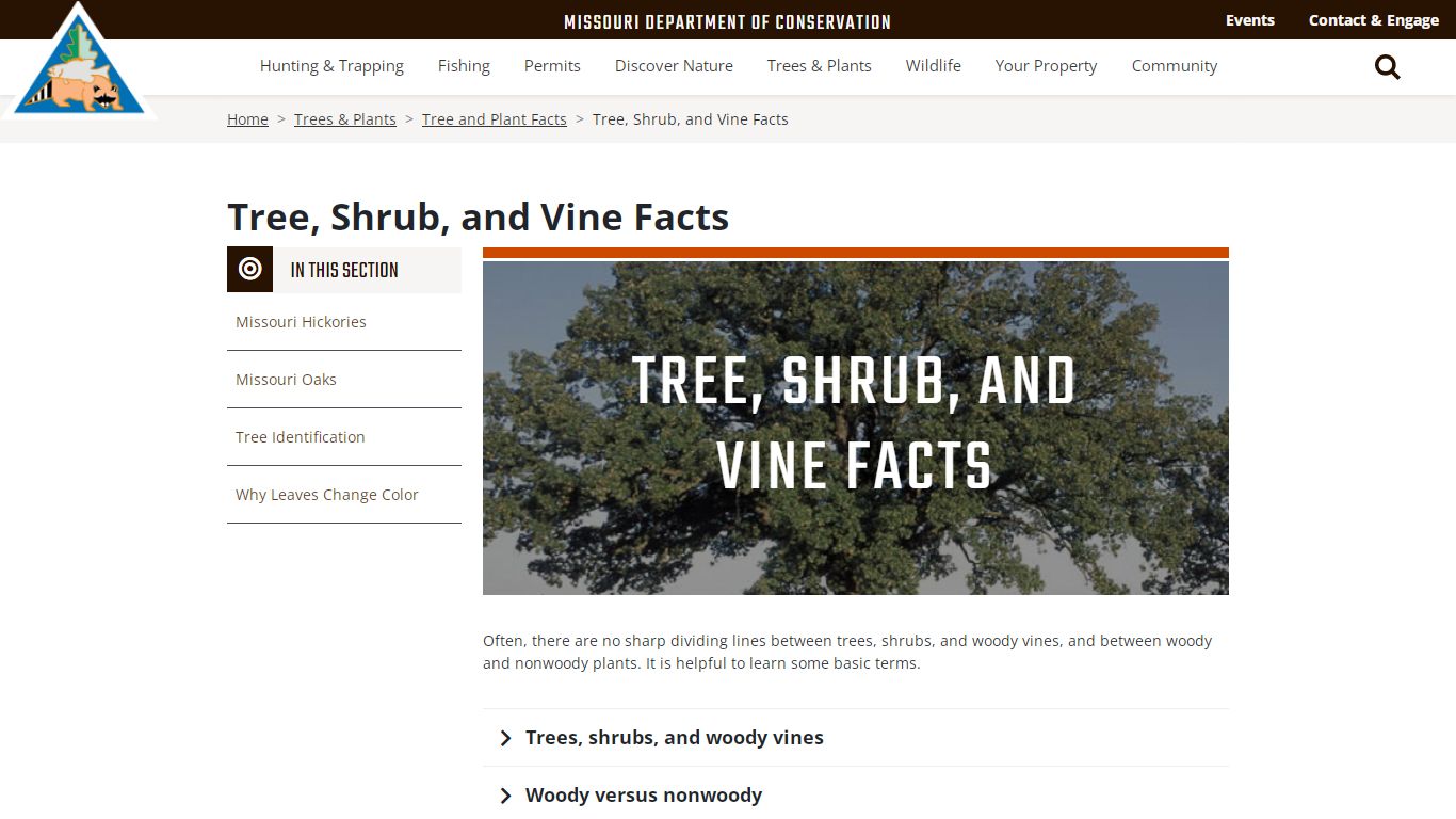 Tree, Shrub, and Vine Facts | Missouri Department of Conservation